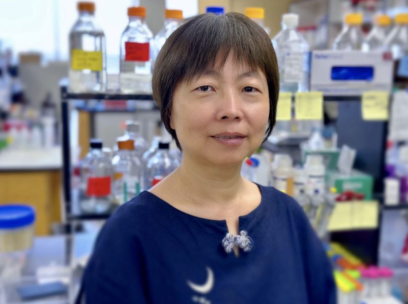 I am pleased to announce the appointment of Dr. Yali Dou as the new Associate Director for Basic Research at USC Norris