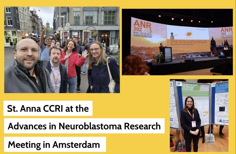 CCRI’s Impressive Contributions at the Advances in Neuroblastoma Research Association (ANR) Meeting in Amsterdam