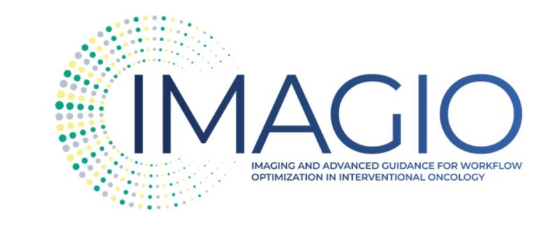 The primary focus is on developing minimally invasive treatments for lung cancer, liver cancer, and soft tissue sarcomas – IMAGIO Project
