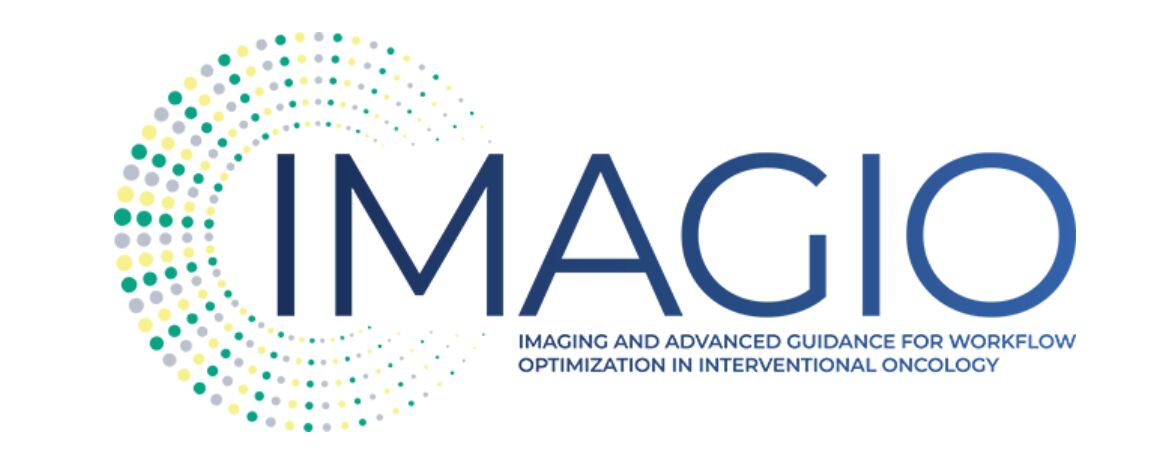 The primary focus is on developing minimally invasive treatments for lung cancer, liver cancer, and soft tissue sarcomas – IMAGIO Project