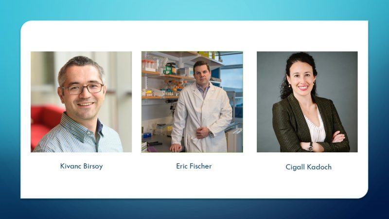 Mark Foundation Emerging Leader Awardees