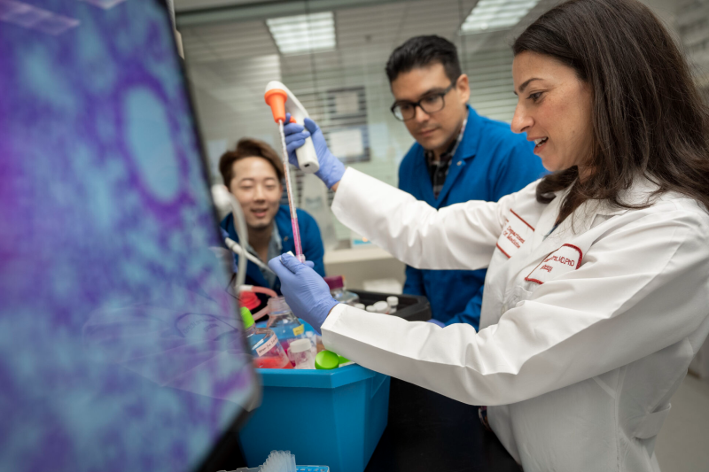 Evanthia Roussos Torres recently was awarded R01 funding from the National Cancer Institute to investigate how targeting myeloid suppression enhances anti-tumor immunity in breast cancer – Caryn Lerman