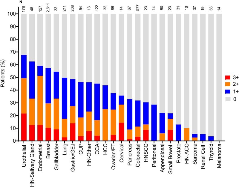 Paolo Tarantino: Interesting pan-cancer evaluation of HER2-low expression out on Annals of Oncology