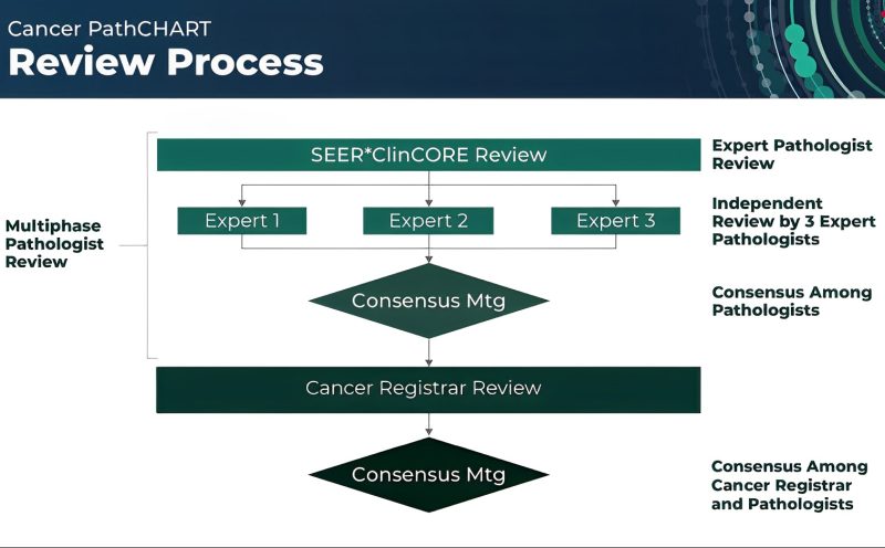 The National Cancer Institute launches the Cancer PathCHART website. – National Cancer Institute Cancer Stats