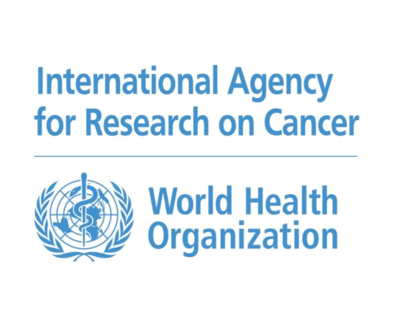 David Kavanagh: Some of the reasons and benefits of working at IARC – International Agency for Research on Cancer / World Health Organization in Lyon, France.