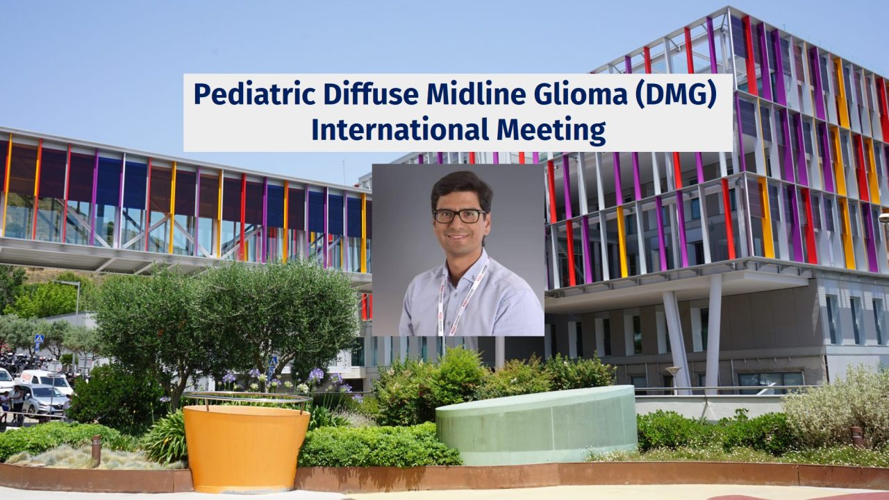 Pediatric Diffuse Midline Glioma (DMG) International Meeting