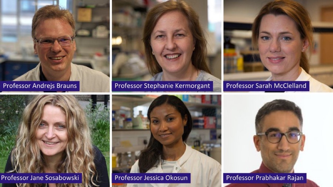 Join us in congratulating our 16 BCI researchers who have been promoted! – Barts Cancer Institute