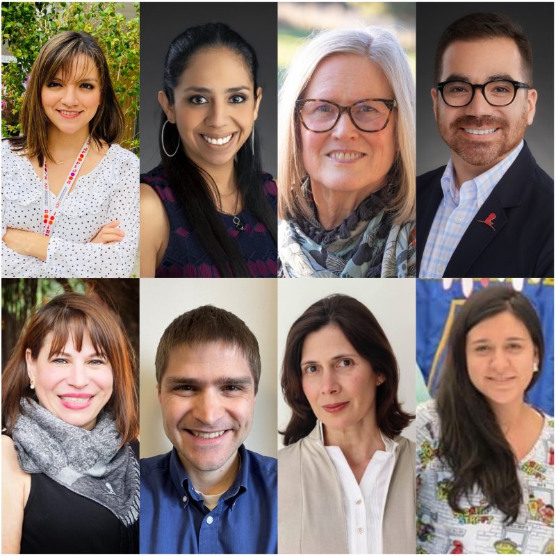 Gaining insight into the needs and health status of childhood cancer survivors in Latin America. An International Alliance