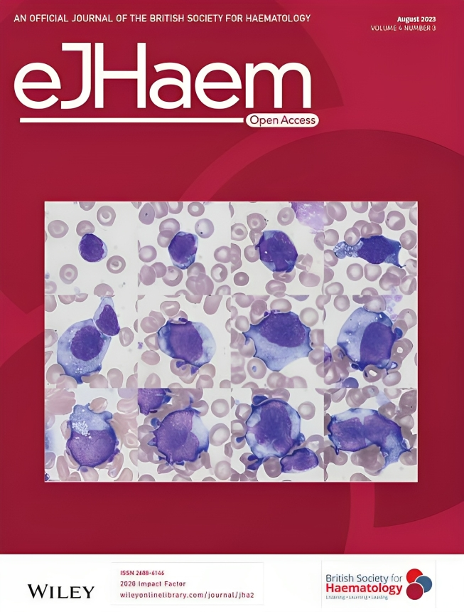 Andrew M. Evens: The eJHaem journal is pleased to publish a special issue on: “Lymphoma in adolescents and young adults: Navigating a path forward together.”