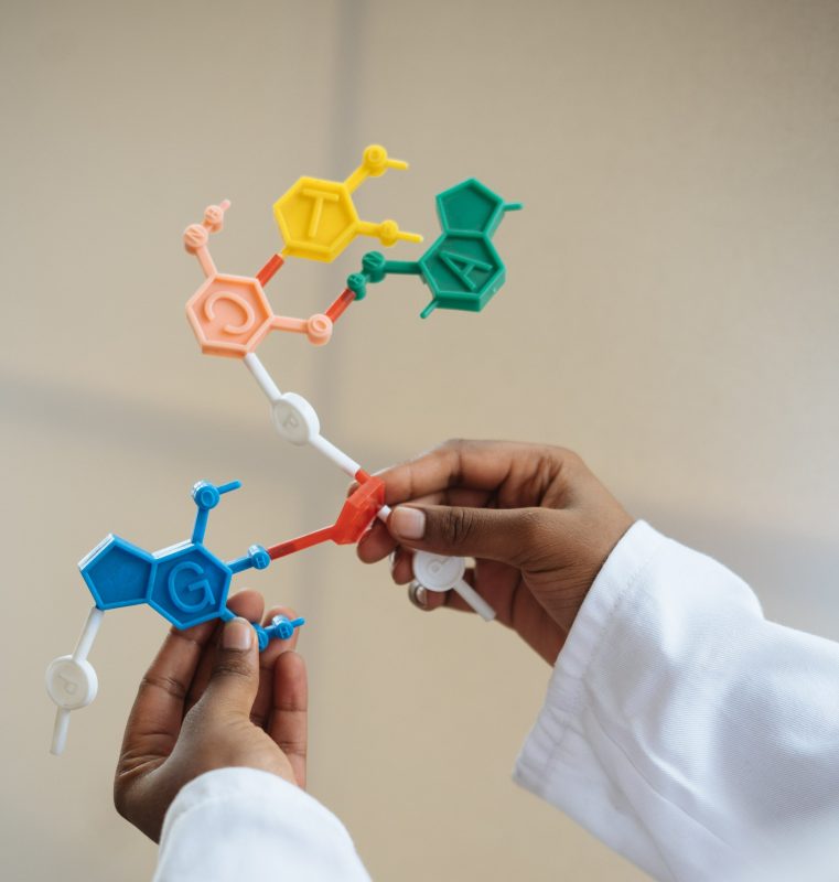 Postdoc opportunities are immediately available in IARC’s Genomic Epidemiology Branch! – IARC