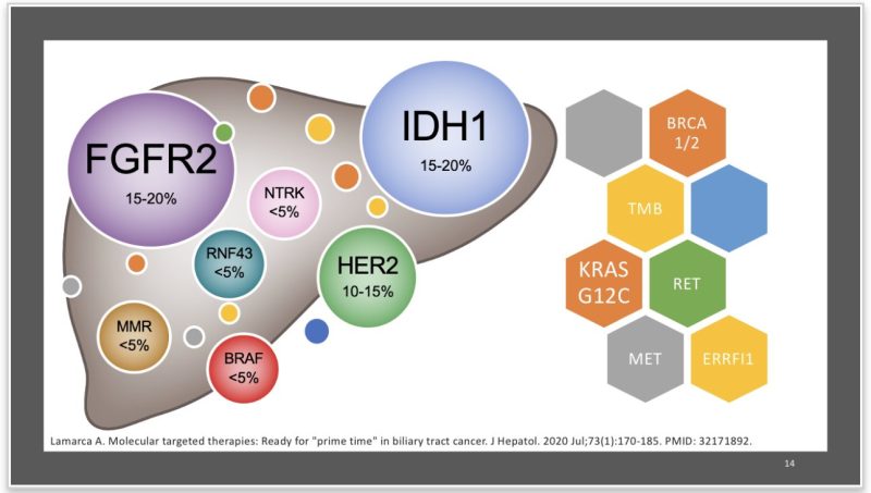 Pashtoon Kasi: Here’s a cool precision medicine story about Liquid Biopsies