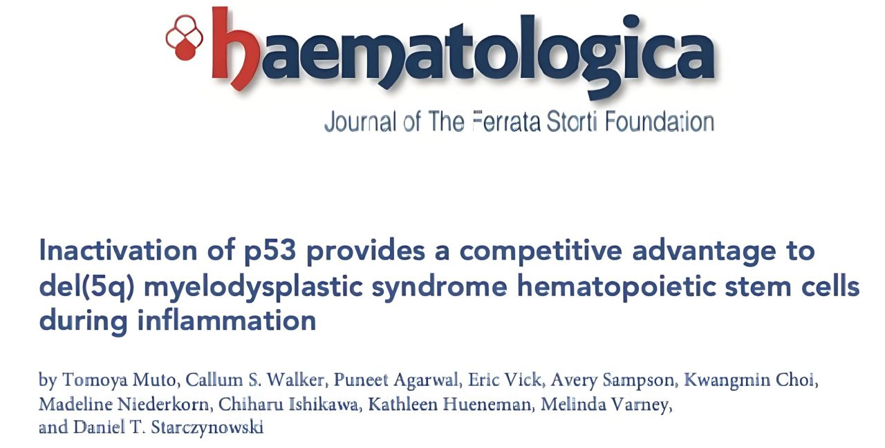 Daniel Starczynowski: Happy to see the final version of our paper in the latest edition of Haematologica.