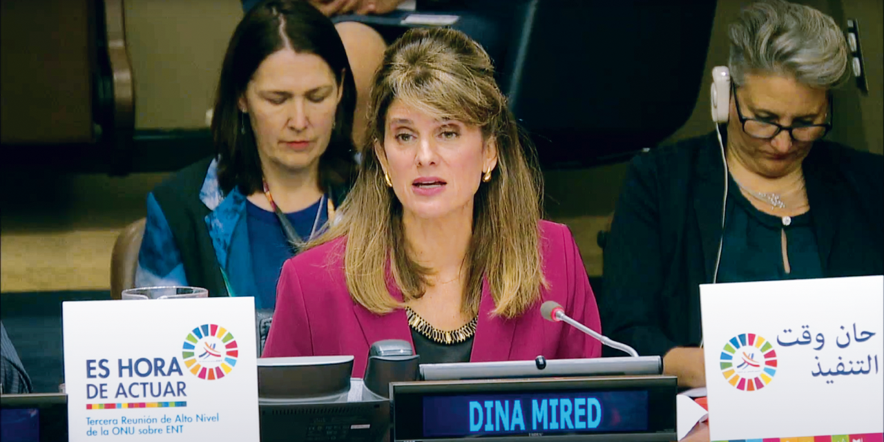 Princess Dina Mired: Human rights, International law and empathy cannot be selective.