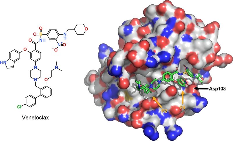 Rafael Fonseca: The clinical development curse against venetoclax for t(11;14) multiple myeloma