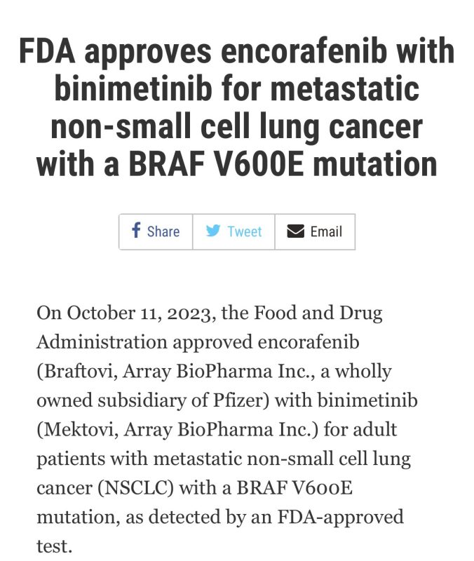 Rami Manochakian: FDA Oncology approves the combination of Encorafenib and Binimetinib for Patients with metastatic Non-Small cell Lung Cancer with a BRAF V600E mutation