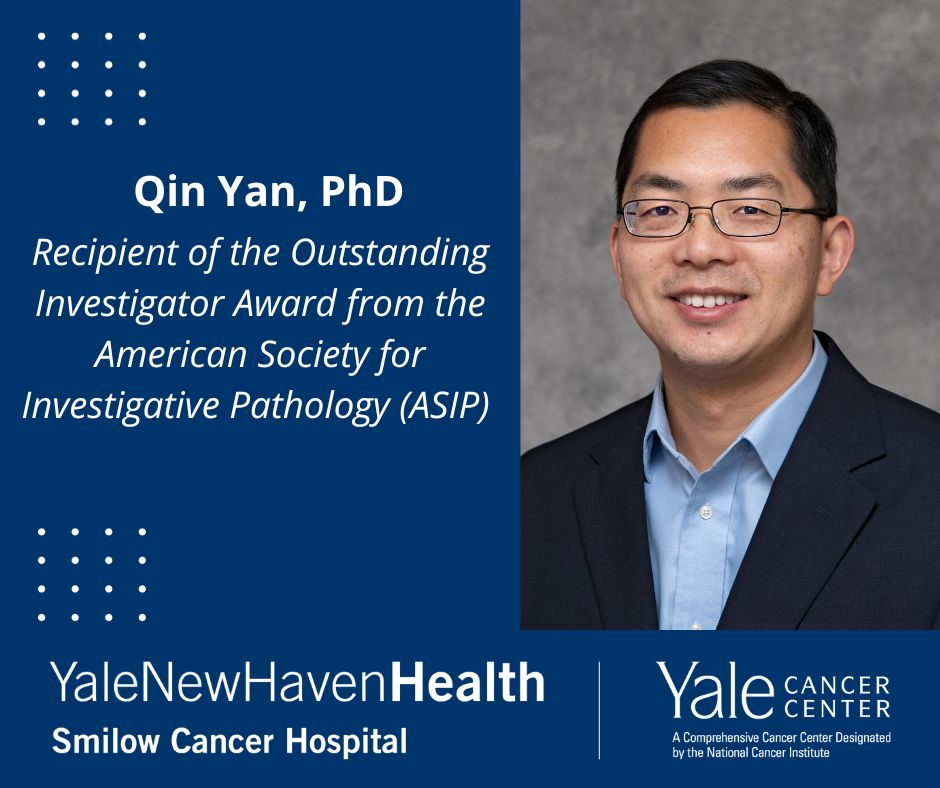 Qin Yan received the Outstanding Investigator Award from the American Society for Investigative Pathology – Yale Cancer Center