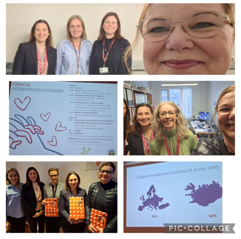 Virpi Sulosaari: Iceland scored highest on cancer nurse EU Index on state of cancer nursing 2022