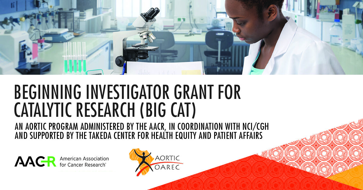 The Beginner Investigator Grants for Catalytic Research (BIG Cat) are two-year grants of $55,000 USD to support early-career African investigators – American Association for Cancer Research