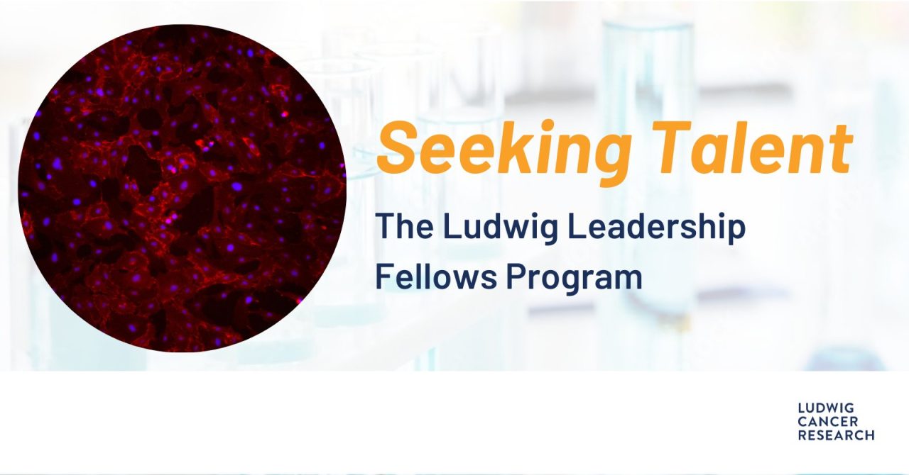 Johanna Joyce: Check out the new Ludwig Leadership Fellows Program
