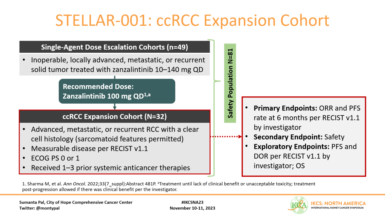 Maria Natalia Gandur Quiroga: Promising results for zanzalintinib in advanced clear cell renal cell carcinoma treatment presented by Sumanta K. Pal