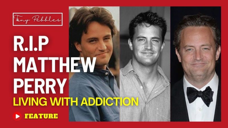 David Shulkin: Matthew Perry’s death is tragic