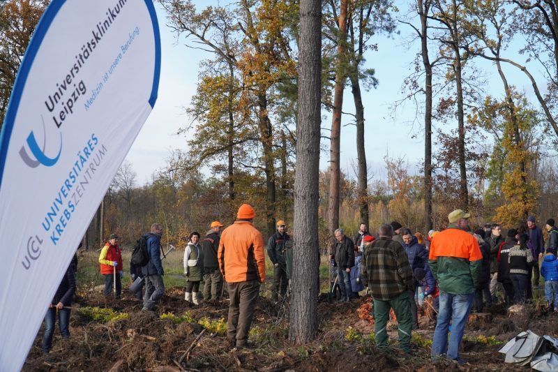 Nils Nicolay: 4.000 trees as a symbol of strength and resilience in the fight against cancer!