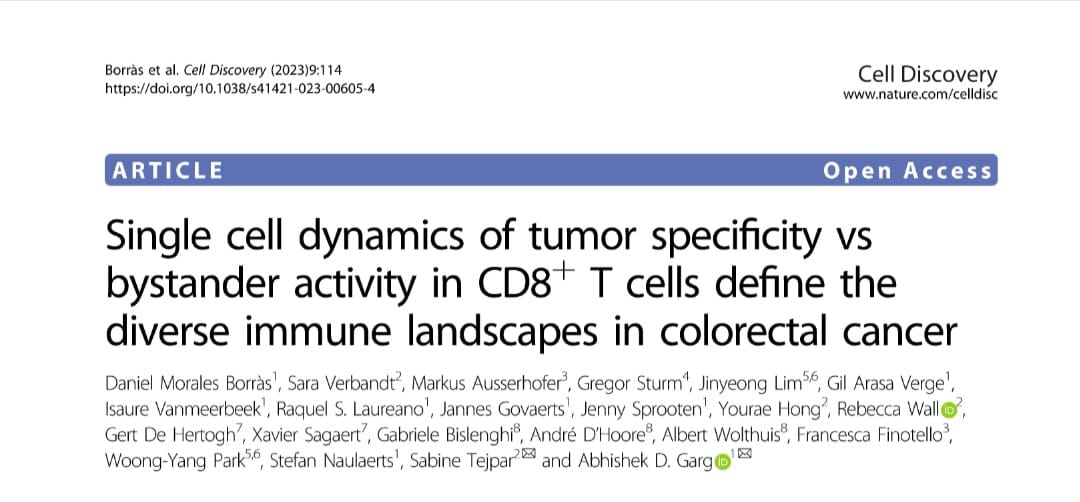 Our latest work on deep single cell mapping of CD8+T cell in colorectal cancer patients leading to first Artificial Intelligence classification for Immunotherapy – Cell Stress and Immunity Lab