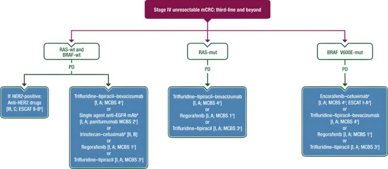 Andres Cervantes: Updated treatment recommendation for third-line treatment in advanced colorectal cancer from ESMO