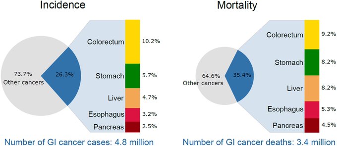 Nico Gagelmann: Gastrointestinal (GI) manifestations in hematology