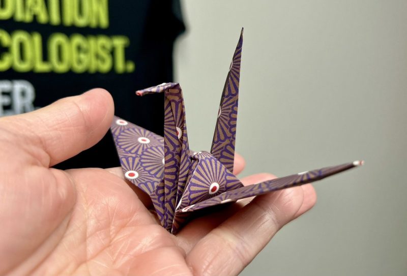 Fumiko Chino: what still surprises me is how many times *I cry*