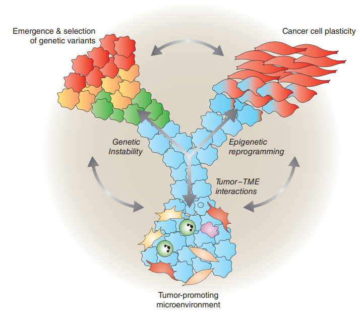 Vivek Subbiah: Cancer Evolution: A Multifaceted Affair! An amazing review