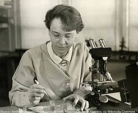 Barbara McClintock discovered ‘jumping genes’ and proved that chunks of genetic code – The Nobel Prize