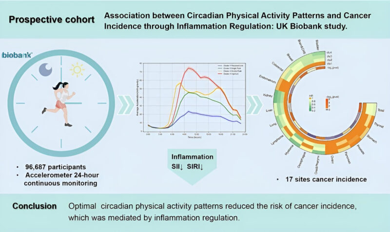 Yüksel Ürün: A game-changer for cancer prevention strategies