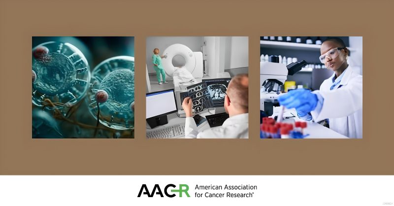 Elizabeth McKenna: The inaugural Cancer Discovery Early Career Award nominations