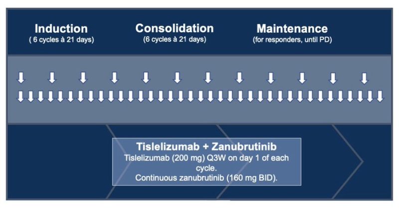 Othman Al-Sawaf: The primary analysis of the RT1 study just went online at Nature Medicine