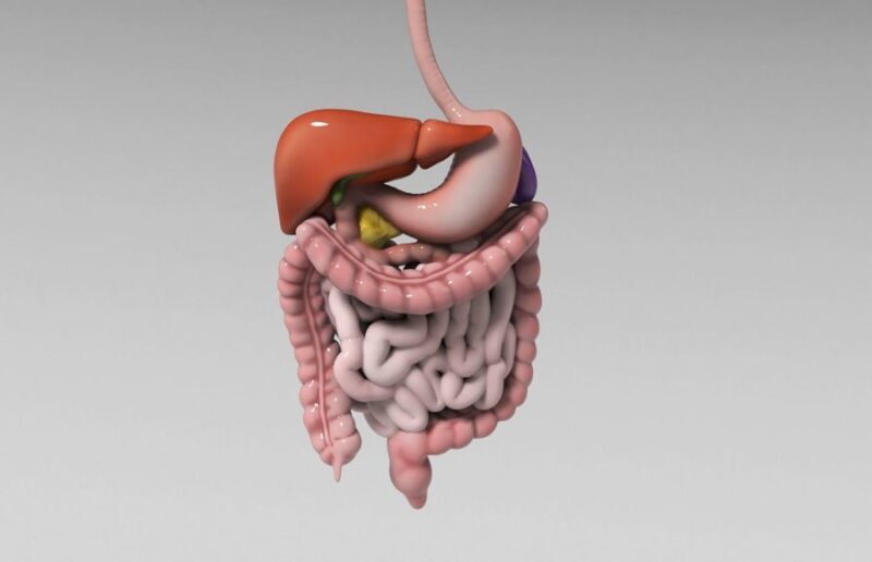 Nico Gagelmann: Gastrointestinal (GI) manifestations in hematology