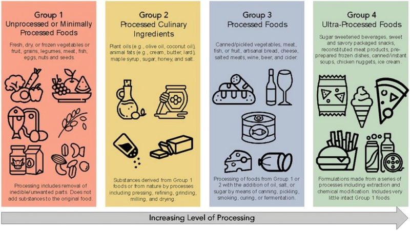 Preeti Sudheendra: Ultraprocessed foods and head/neck cancers
