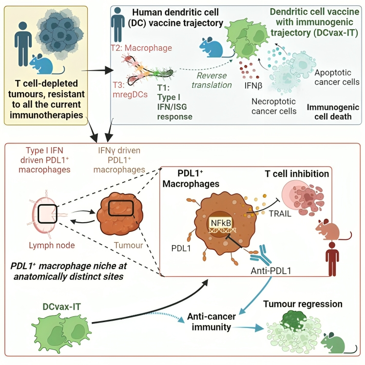 Abhishek Garg: Innovative reverse translational approach helped us discover a novel dual-organ immuno-resistance pathway