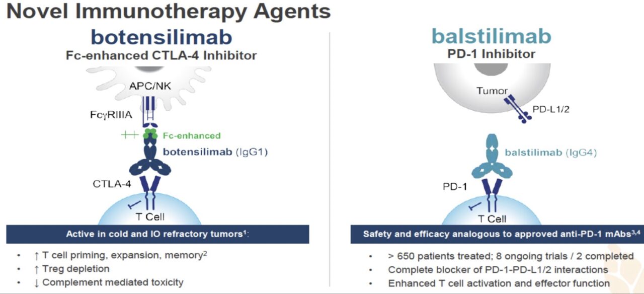 Michael Serzan: About the hottest new ICI BOTENSILIMAB in Kidney Cancer?