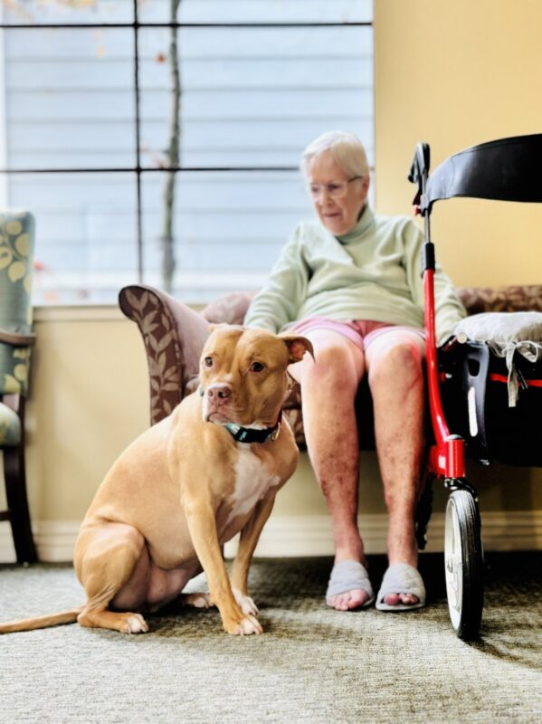 Julie A. Sosa: As challenging as it is to be a frontline clinician, it’s harder to be a care GIVER