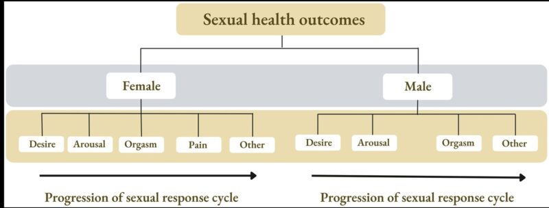 Mary Abigail De Vera: Systematic review and meta-analysis of sexual health outcomes in AYA cancer