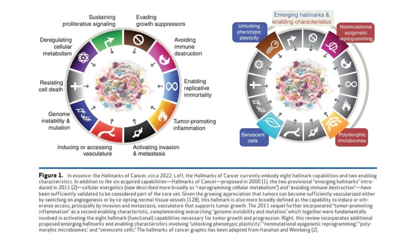 María Natalia Gandur Quiroga: Fantastic article… One of the most anticipated!
