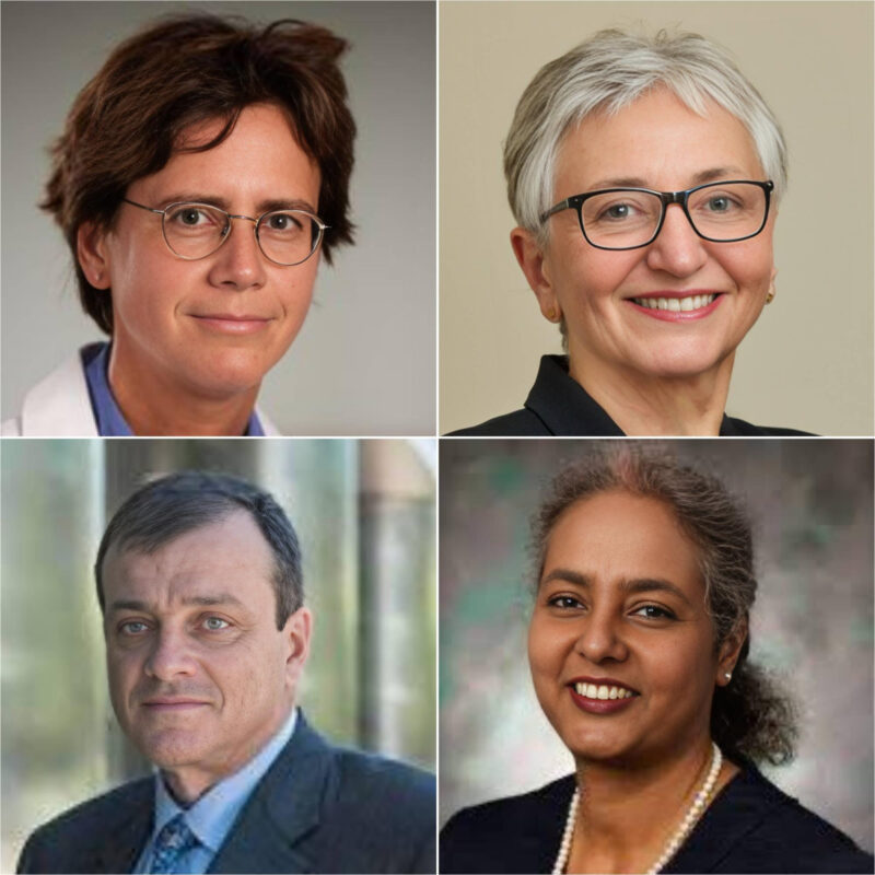 Julie A Sosa: You’re never too old to be mentored