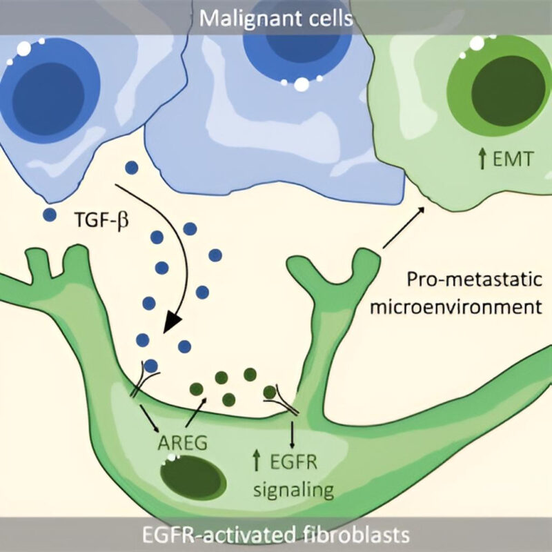 Joaquín Araos Henríquez: I’m very happy to share that the 1st paper of the lab is finally out