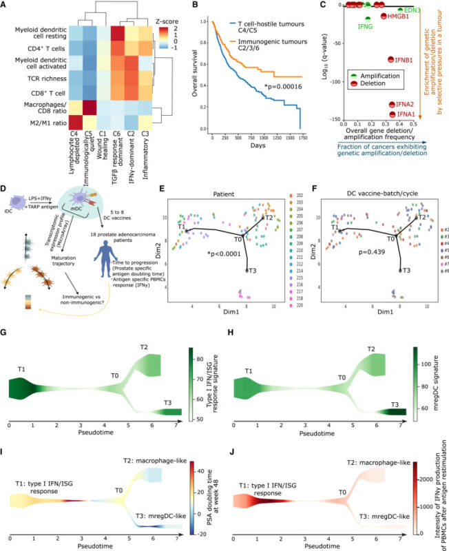 Our latest research on next-generation anti-cancer vaccines against T cell-depleted tumors - Cell Stress and Immunity Lab