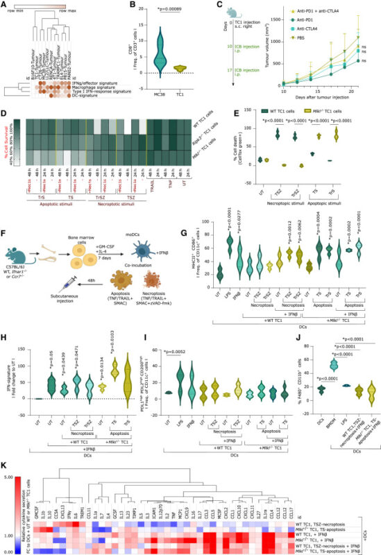 Our latest research on next-generation anti-cancer vaccines against T cell-depleted tumors - Cell Stress and Immunity Lab