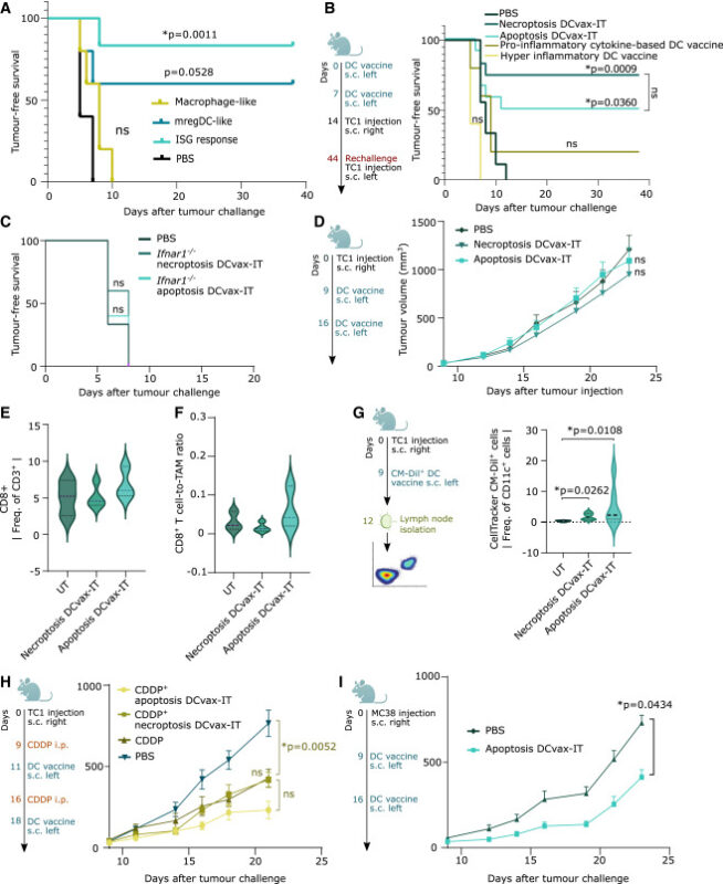 Our latest research on next-generation anti-cancer vaccines against T cell-depleted tumors - Cell Stress and Immunity Lab