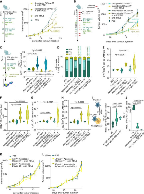 Our latest research on next-generation anti-cancer vaccines against T cell-depleted tumors - Cell Stress and Immunity Lab