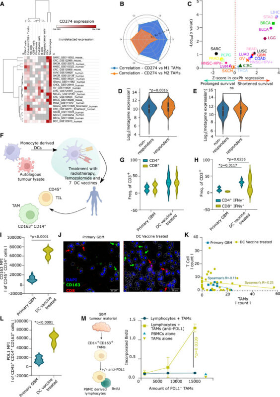 Our latest research on next-generation anti-cancer vaccines against T cell-depleted tumors - Cell Stress and Immunity Lab