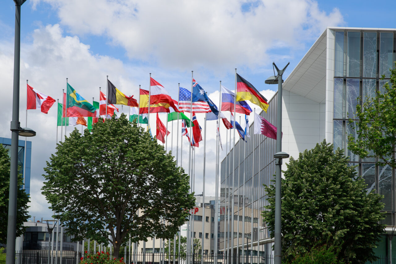 The 60th Session of the IARC Scientific Council takes place in Lyon on ...